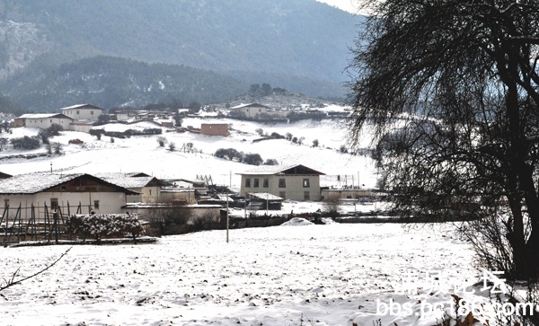 DSC_0416.JPG