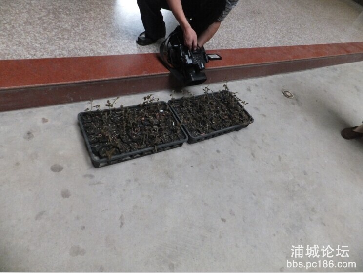 QQ图片20140828091943.jpg