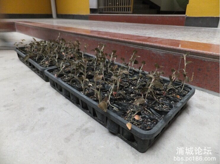 QQ图片20140828092001.jpg