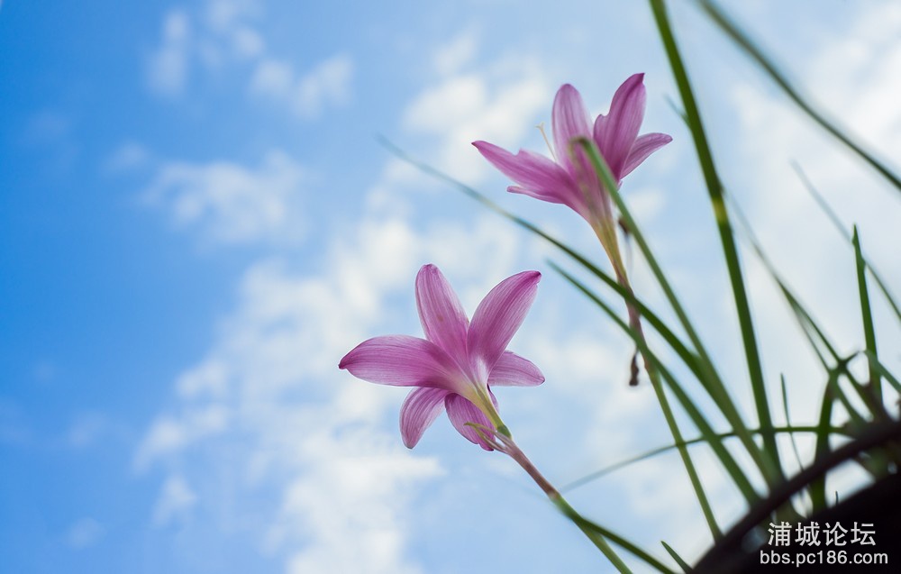 DSC_2851.jpg