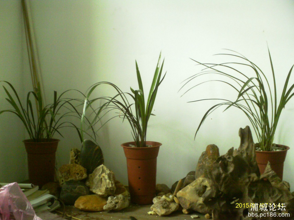 IMAG1058.JPG