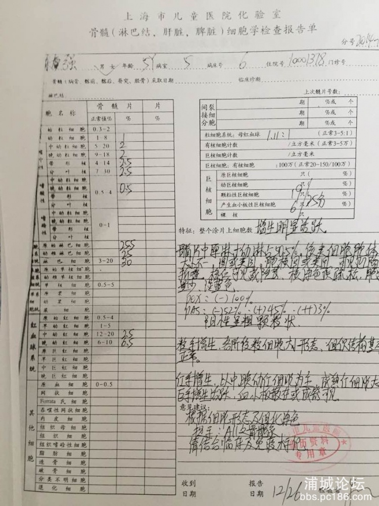 骨髓细胞学检查12.26.jpg