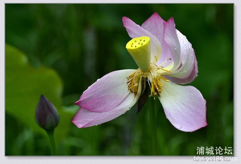 _DSC0131_副本.jpg