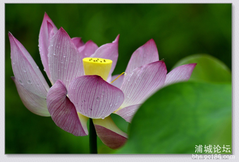 _DSC0125_副本.jpg