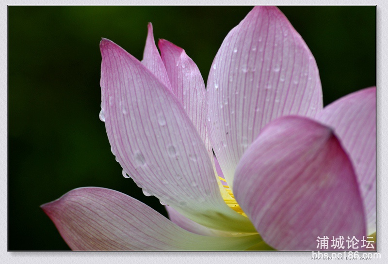 _DSC0114_副本.jpg