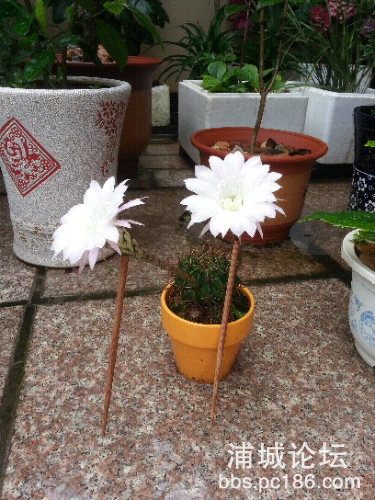 20150614_072116.jpg
