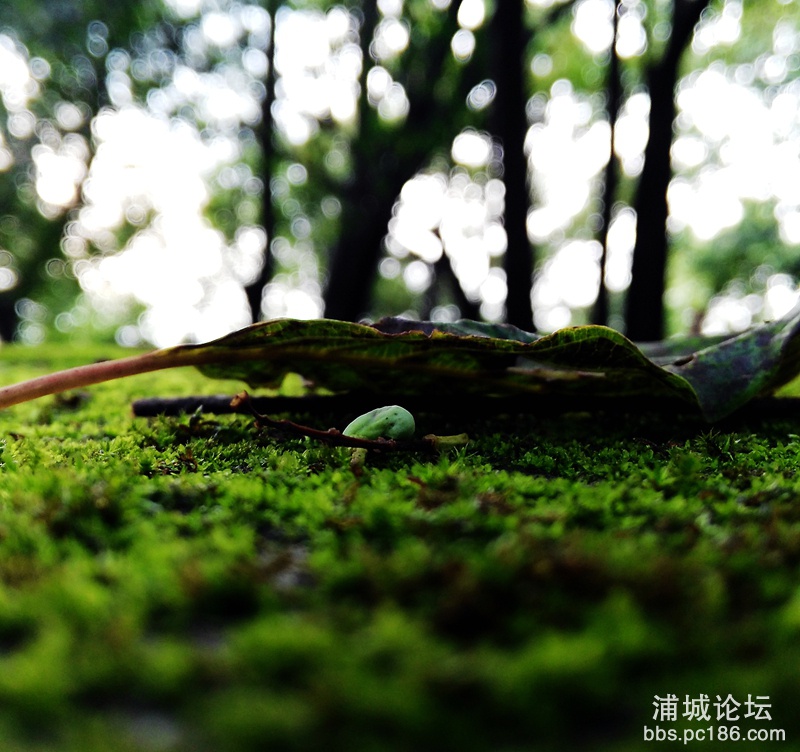 IMG_20150816_171034_副本_副本.jpg