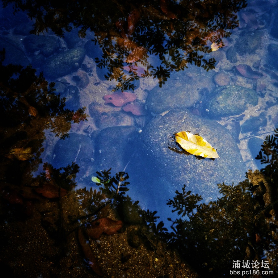 IMG_20150830_163646-01_副本.jpg
