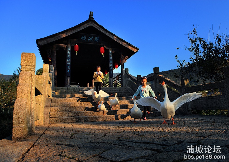 39   童趣   副本  2012-10-19拍摄于江山市廿八都镇.jpg