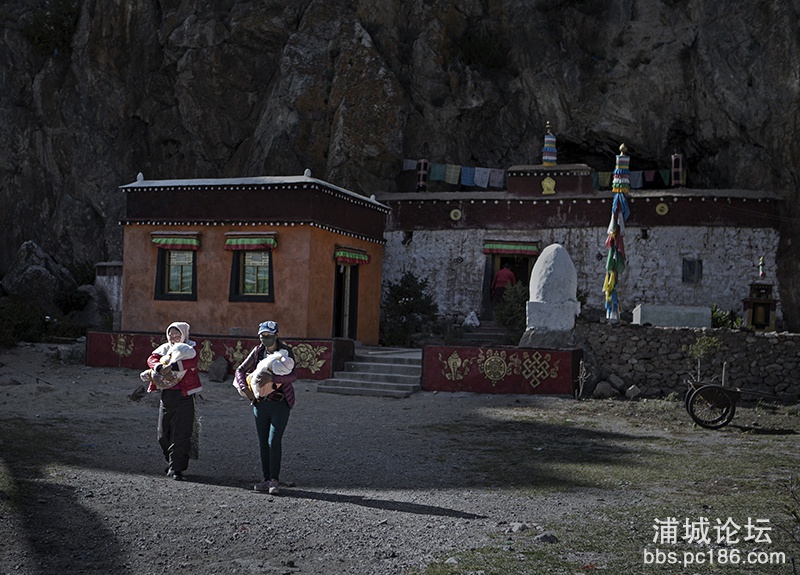 109      新生儿  副本   2014-9-25拍摄于西藏、纳木错.jpg