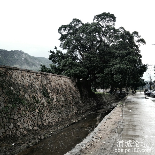 Fotor_144420623022088_.jpg