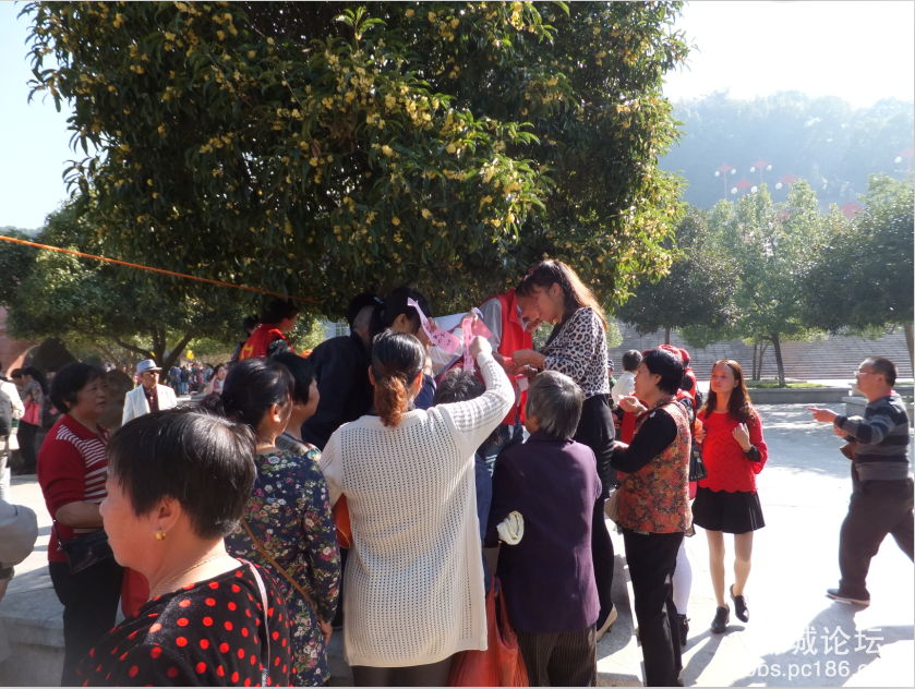 QQ图片20151021095852.png