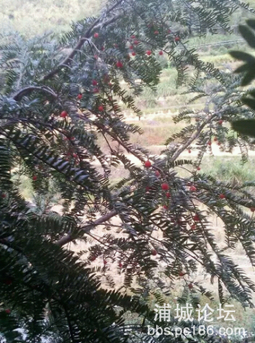 839506297_mh1446335592107.jpg