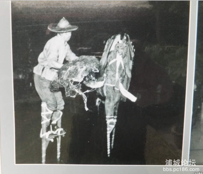 QQ图片20160223195227.png