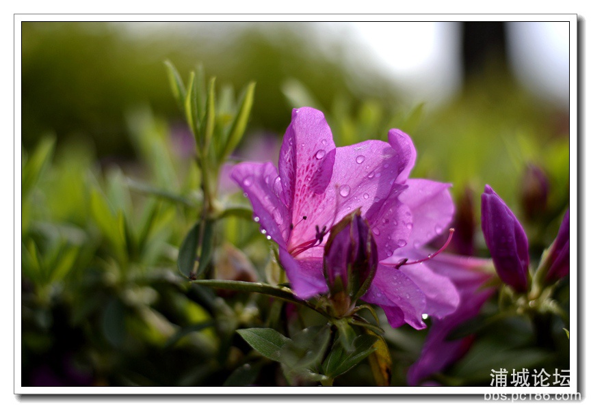 _DSC0060_副本.jpg