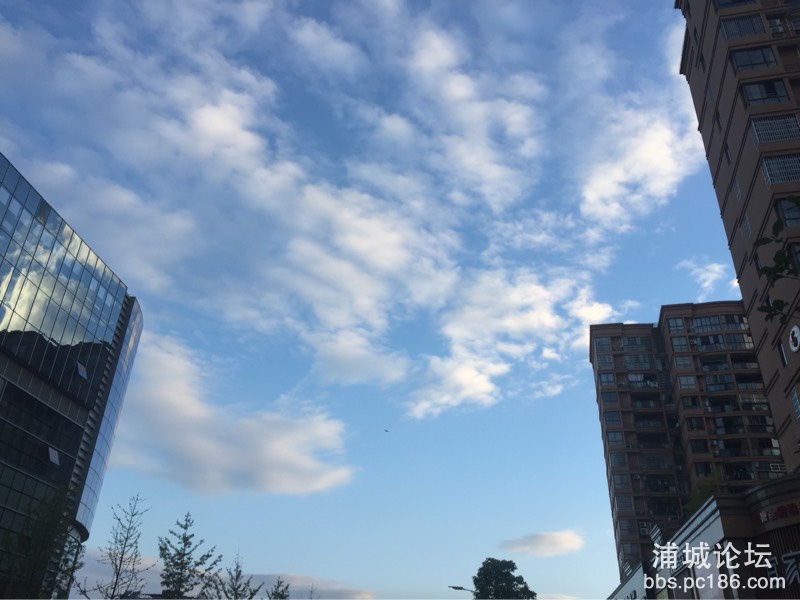 060501ummll277mlj0ryia.jpg