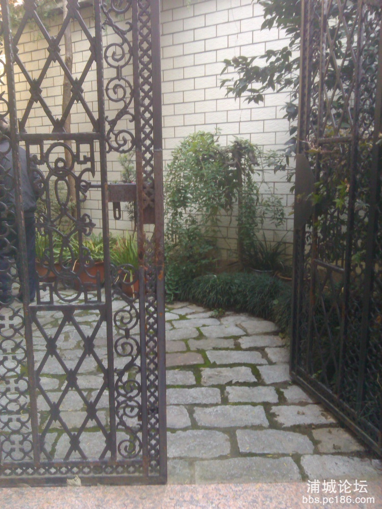 IMG_20131116_104005.jpg