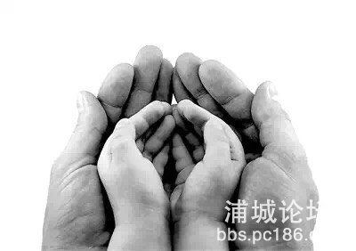 090328ipf4fhg04cgwzwby.jpg