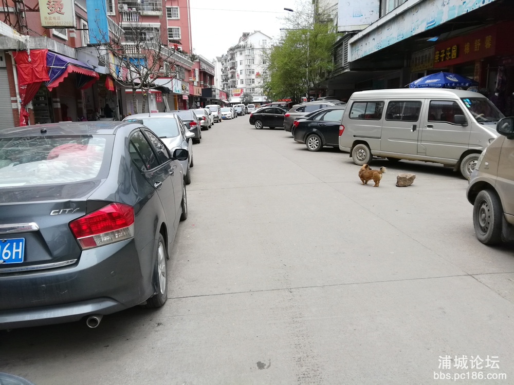 商业城原好佳多超市门口这条大路，我就不明白交警为什么不处理这里的乱停车现象，有居.jpg