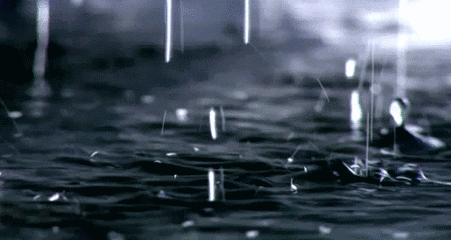 55d16cb9a9b602ab01148e17daeb3ca8.gif
