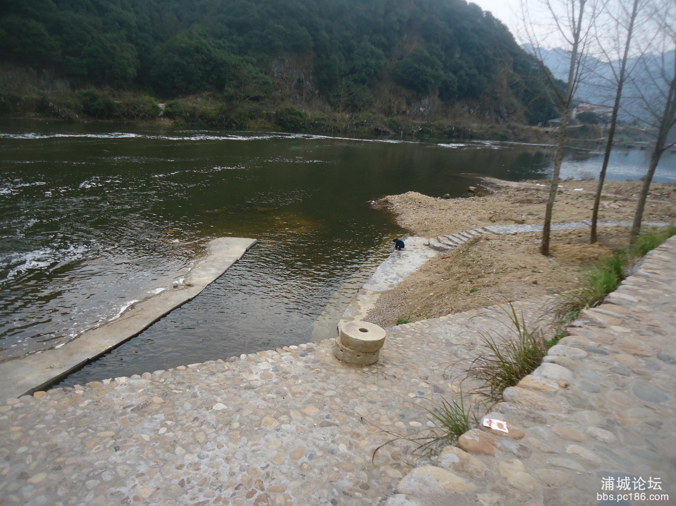 DSC03200.JPG