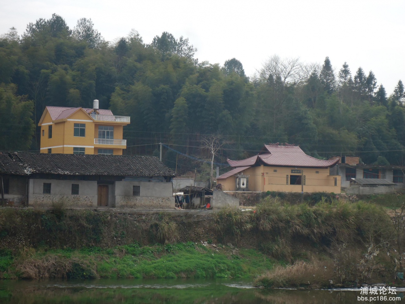 DSC03220.JPG