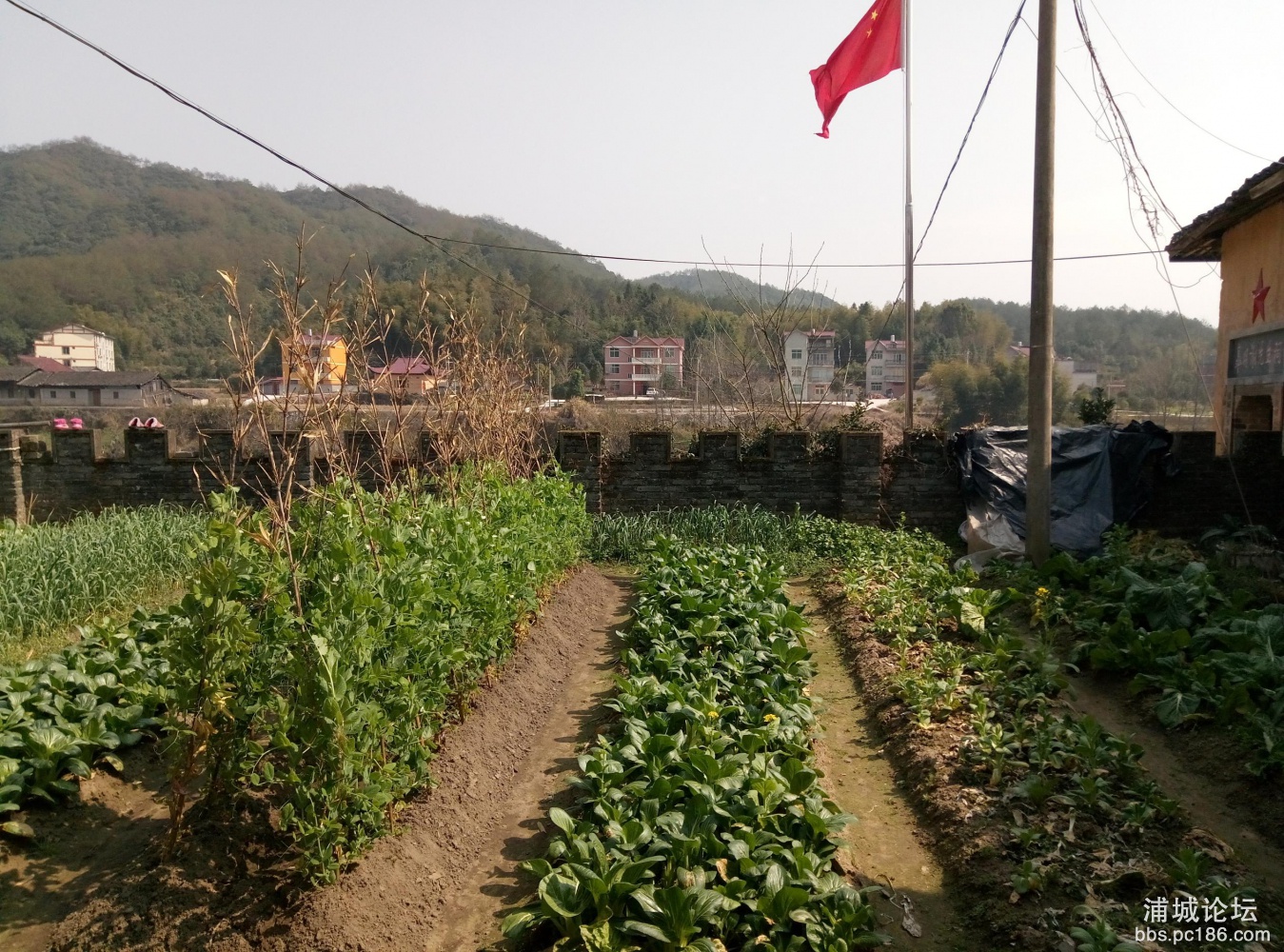 P70227-133526.jpg