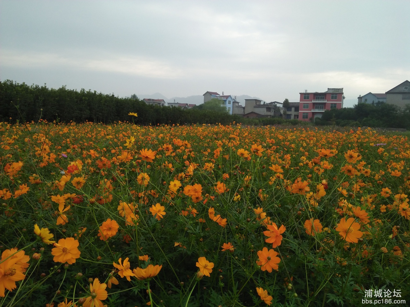 IMG20170923074347.jpg