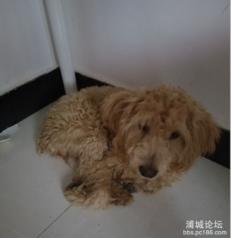 TIM截图20171002090801.png