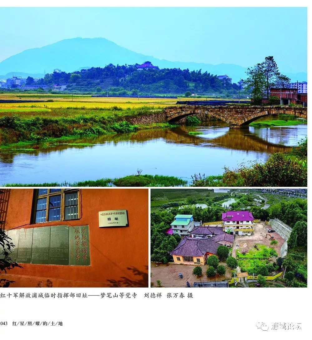 d7dd780f82814a3a718f50771e5ff3c4.jpg