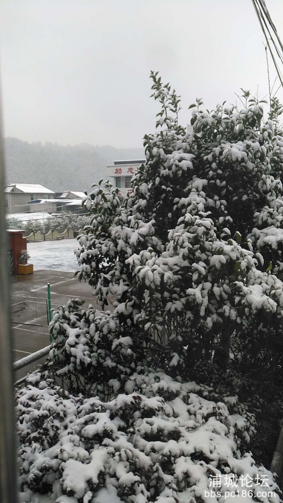 降雪模式开启