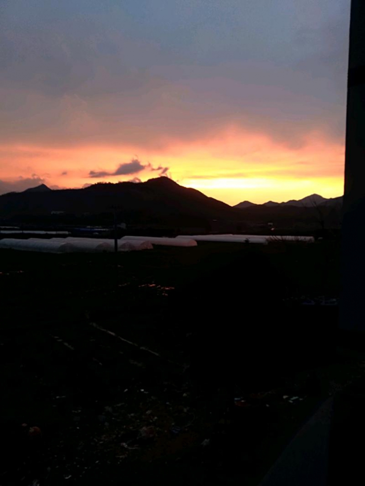 IMG_20180304_181307.jpeg