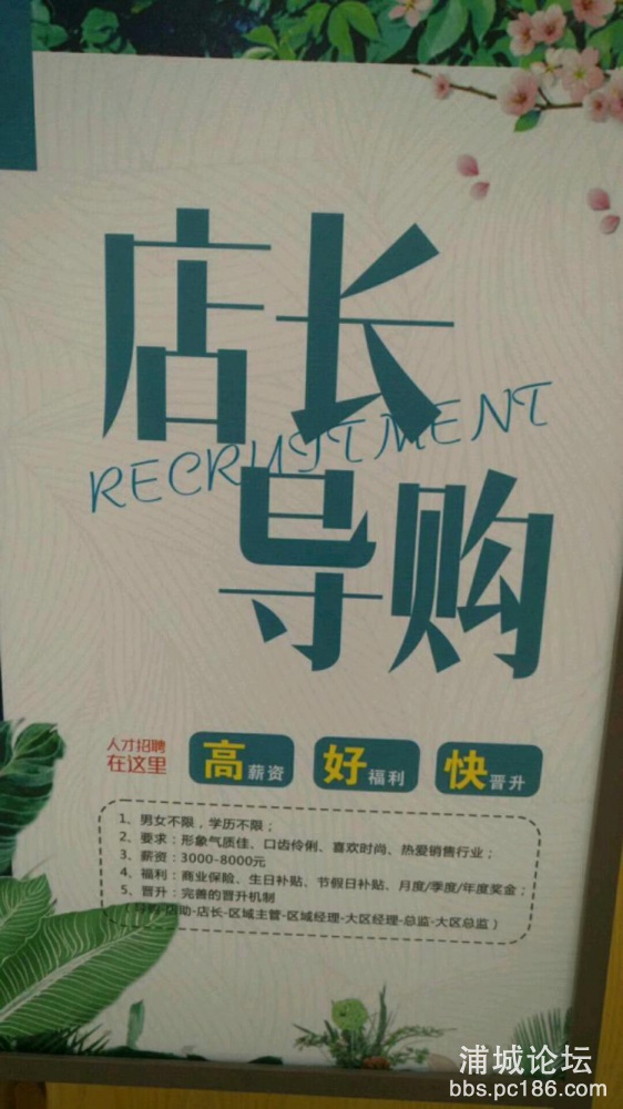 mmexport1526709728345.jpeg