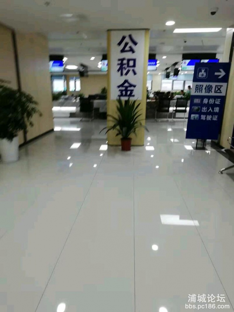 mmexport1541144596113.jpeg