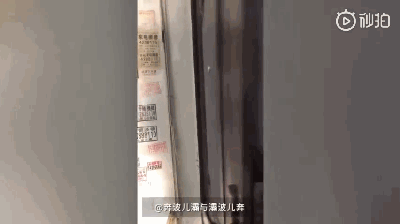 8b1da97d8a3bbcd1bbde0cce6a38fd21.gif