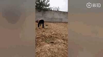 79479a248521c049f2c6afe60aa1a7cd.gif