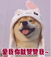 23f0ce6fb559ef66939d3f373edc291b.gif