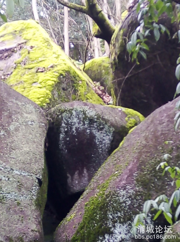 IMG_20190206_120026.jpg