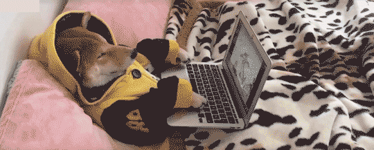 8988bb3b5ea6afac83280ef8d4cab4da.gif