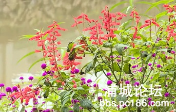 a80ce9e050d18ef60affc98b82dccf9e.jpg