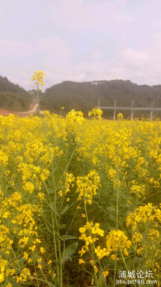 IMG20190321145842.jpeg