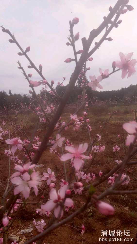 IMG20190321144802.jpeg