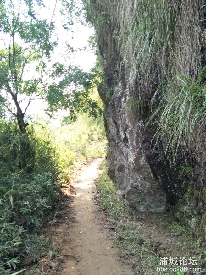 崎岖的小道.jpg