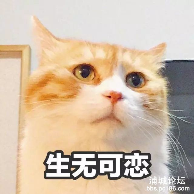 aae60811515a51743758c71e3a8aa64b.jpg