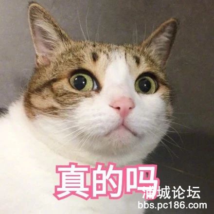 0deccb0dd13b40c4742d71e6939b42b6.jpg