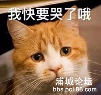 4e8da2918b626905de72de33b884c1ee.jpg