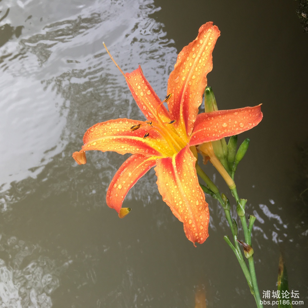 微信图片_20190619151540.jpg
