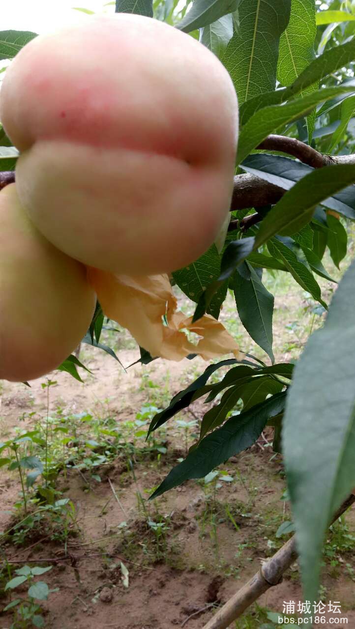 20190706_228889_1562416163356.jpg