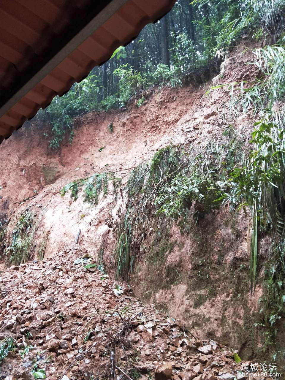 20190715_230906_1563144191350.jpg