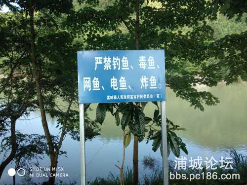 IMG_20190730_170042.jpg